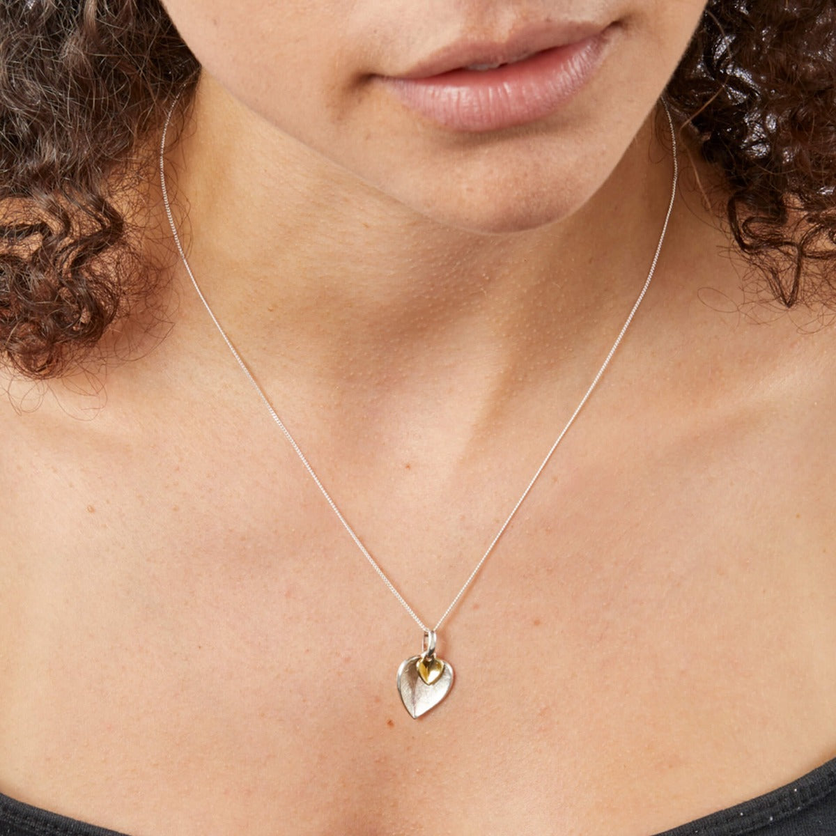 Beginnings Double Heart Pendant with Yellow Gold Plated Small Heart-1